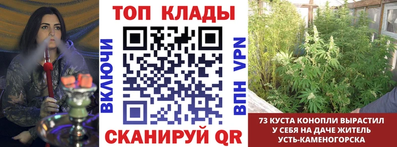 Наркошоп купить Бошки Шишки  COCAIN  Гашиш  A-PVP  Псилоцибиновые грибы  Мефедрон  Горно-Алтайск