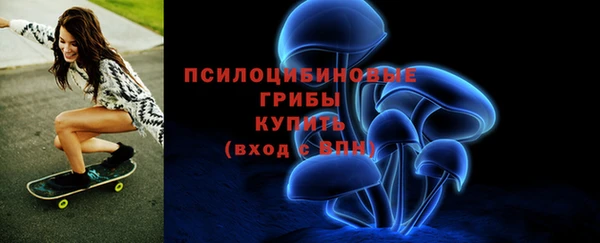 МДПВ Костерёво