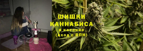 МДПВ Костерёво
